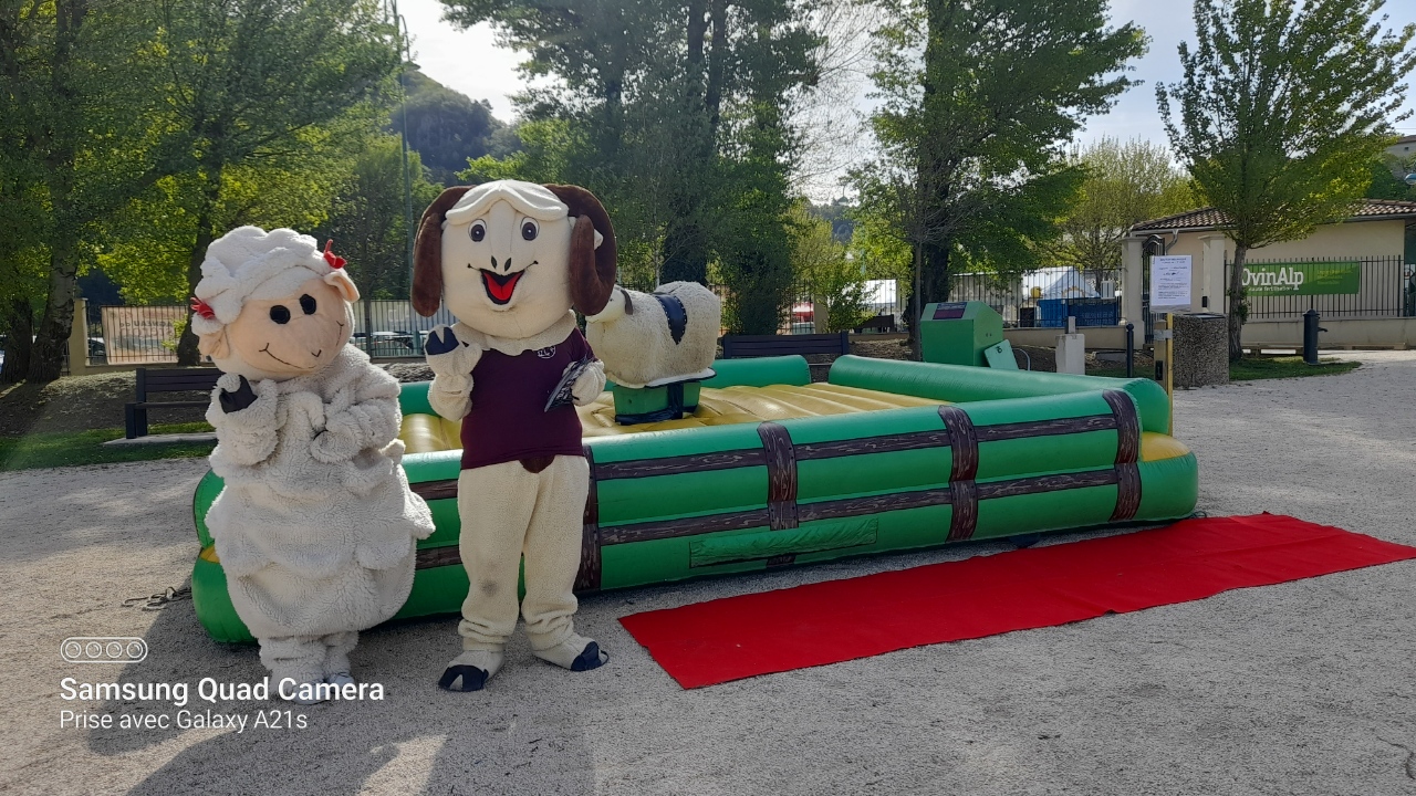 Lire la suite à propos de l’article Location mouton mécanique