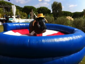 Lire la suite à propos de l’article location taureau mécanique