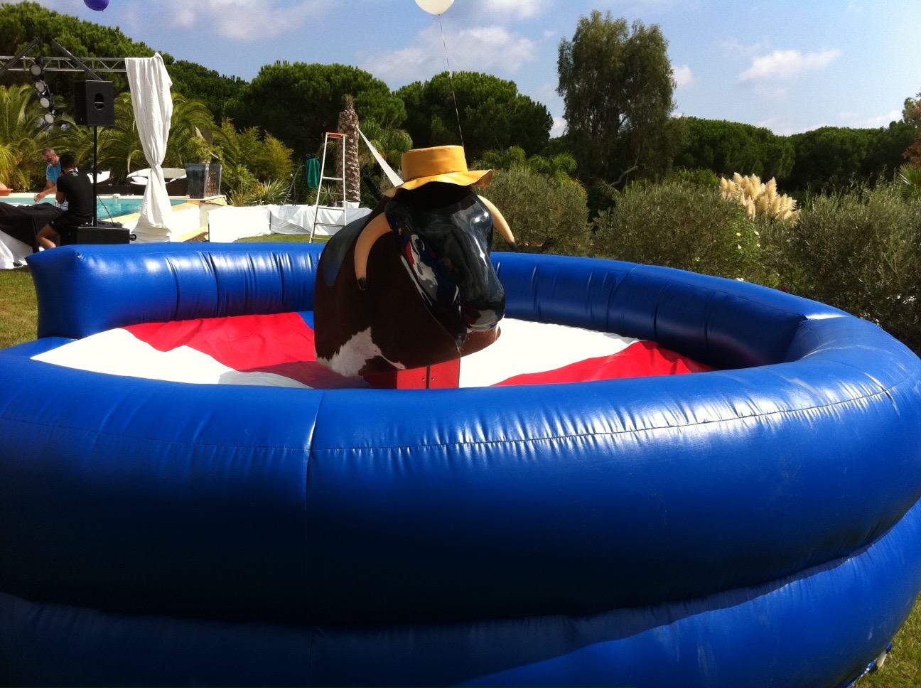 Lire la suite à propos de l’article location taureau mécanique