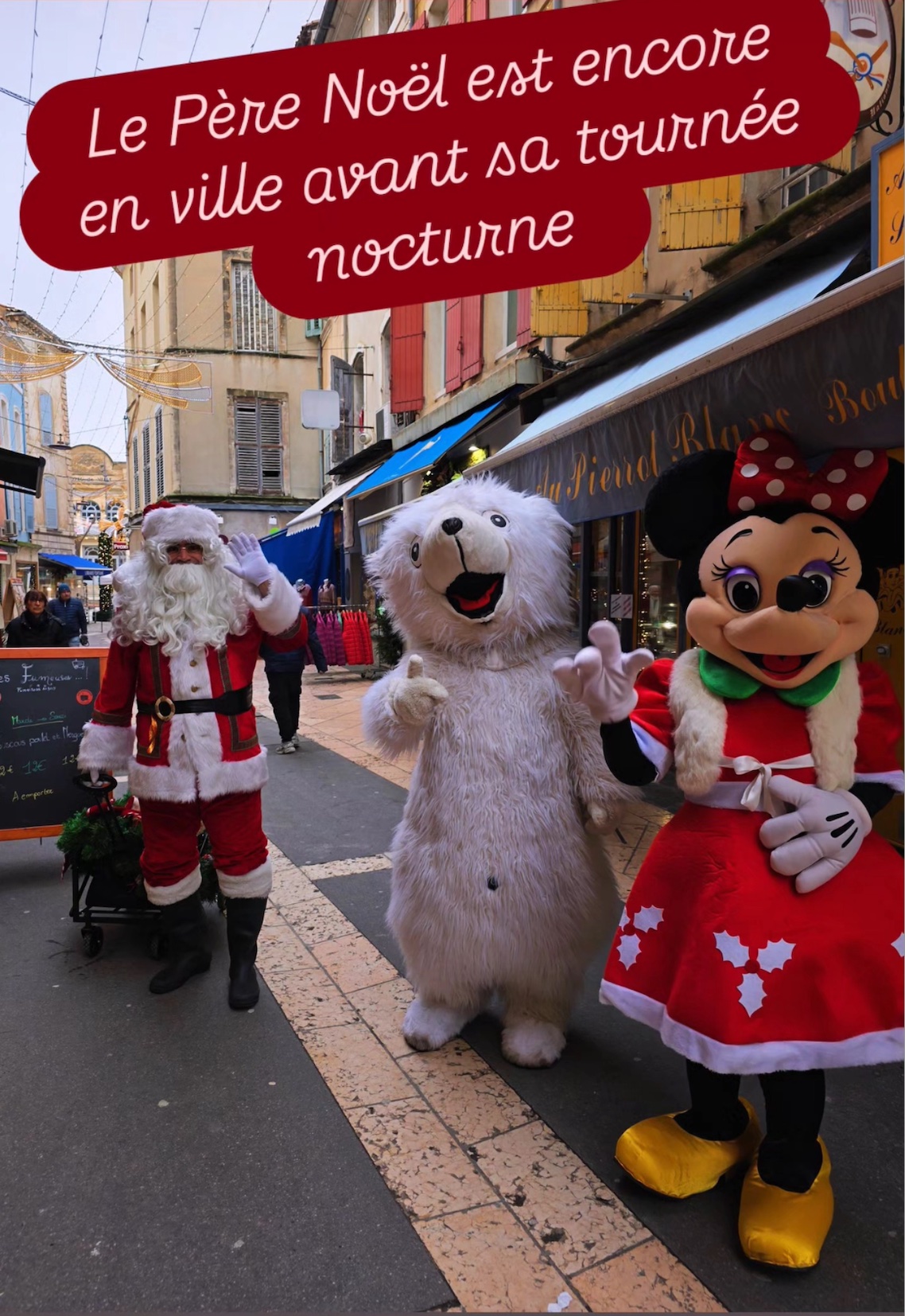 Lire la suite à propos de l’article mascottes noël