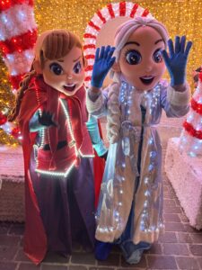 Lire la suite à propos de l’article votre arbre de noël paca 84-13-04-06-13-26-30